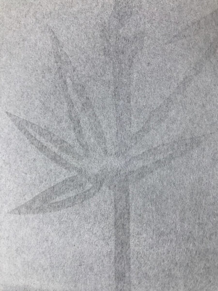 製品画像