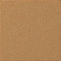 製品画像
