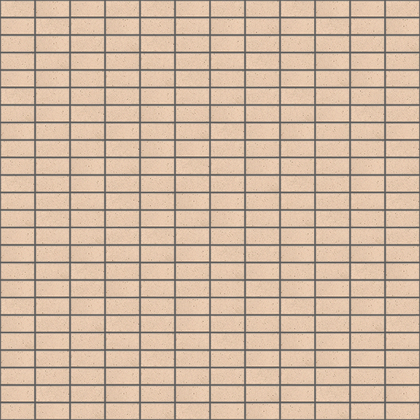 製品画像