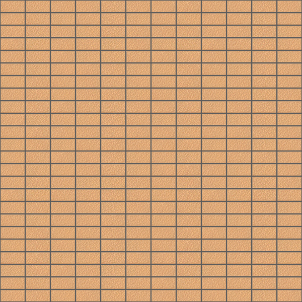 製品画像