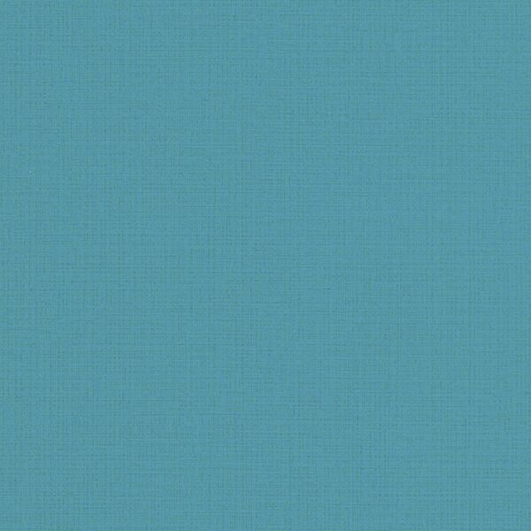 チップ画像