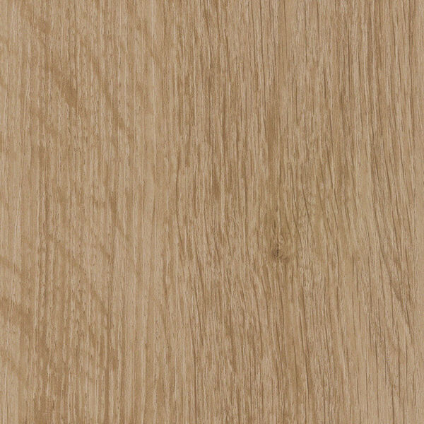 チップ画像