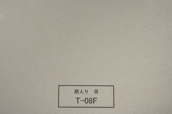 製品写真