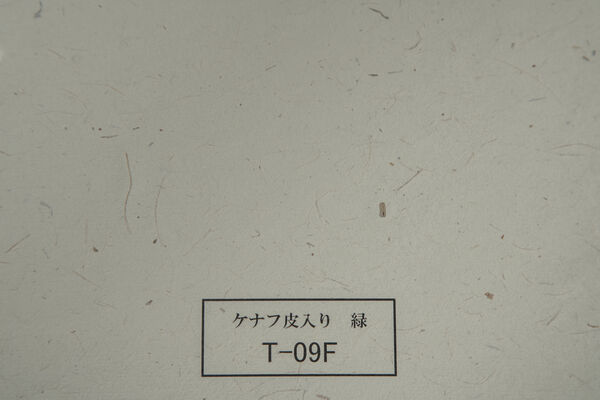 製品写真