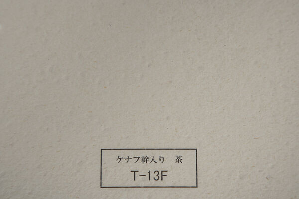製品写真