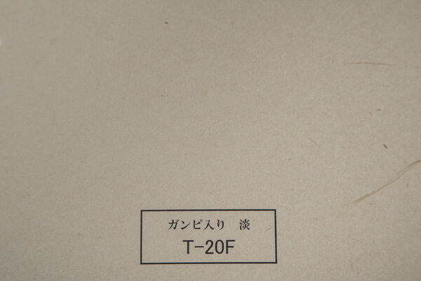 製品写真