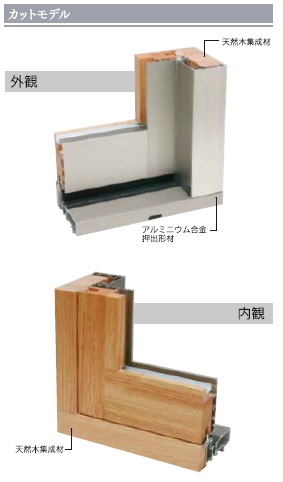 カットモデル