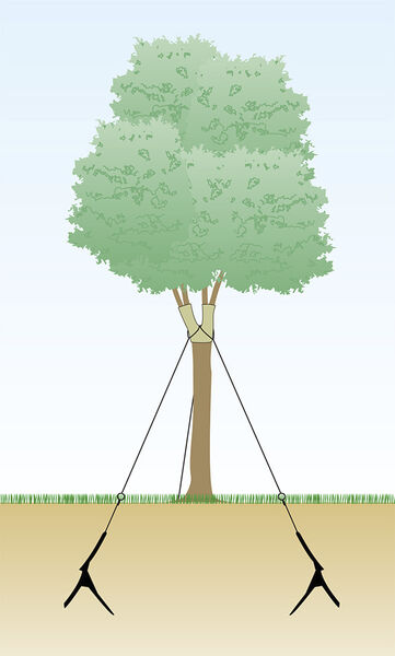 支柱イラスト