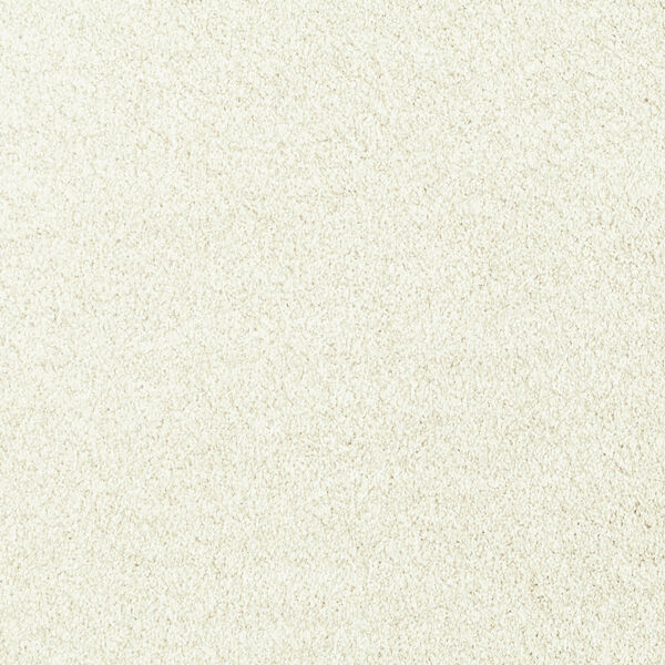 製品画像