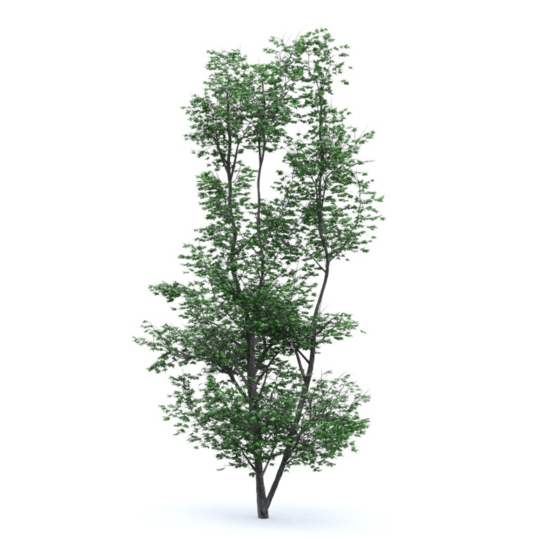 example