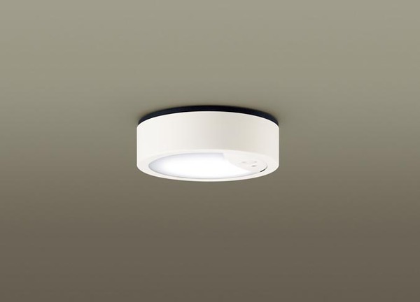 天井直付型 LED（昼白色） ダウンシーリング 拡散タイプ 防雨型
