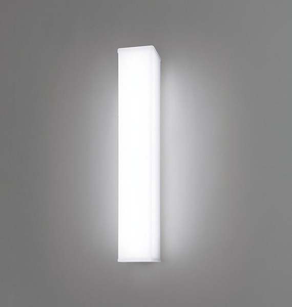 天井直付型・壁直付型 LED（昼白色） ウォールライト ステンレス製 