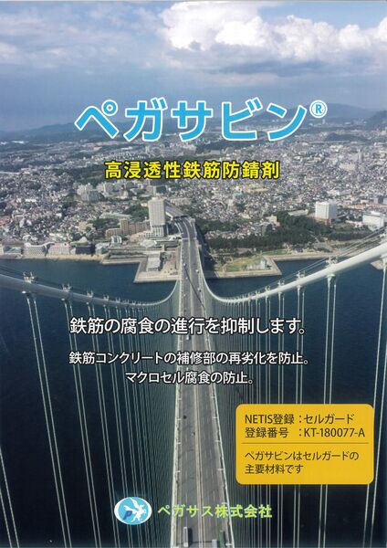 製品画像