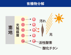 製品イメージ