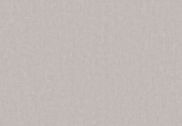 リピート画像