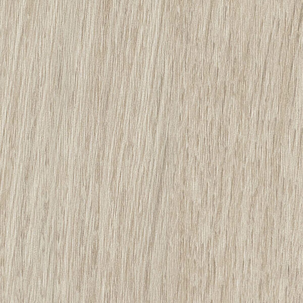 チップ画像