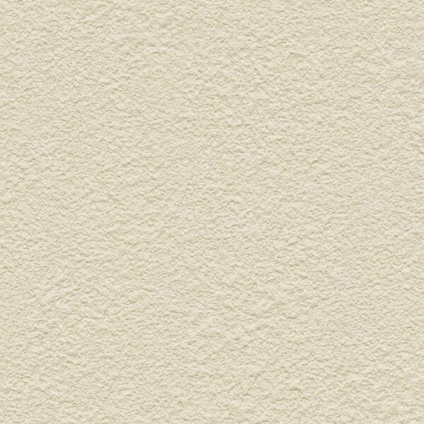チップ画像