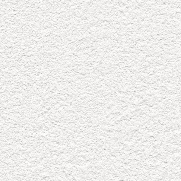 チップ画像