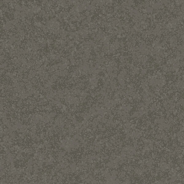 チップ画像