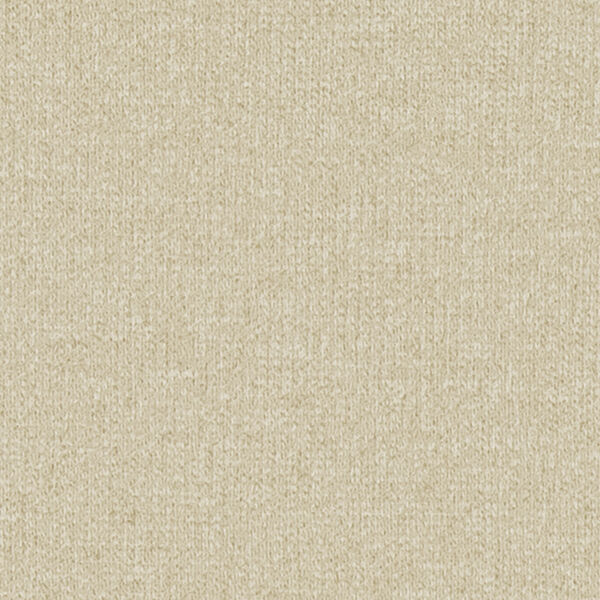 チップ画像