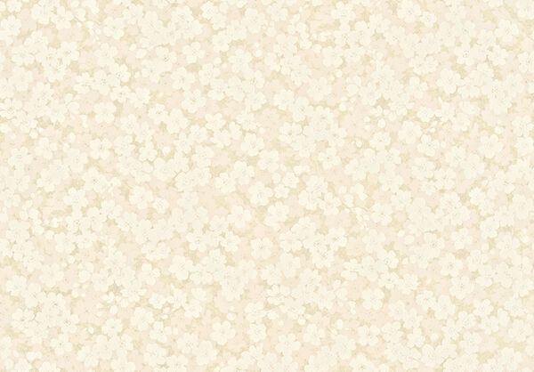 リピート画像