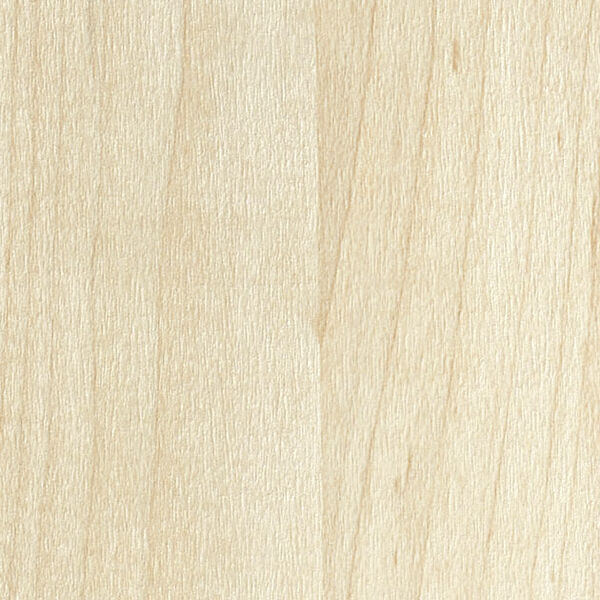 チップ画像