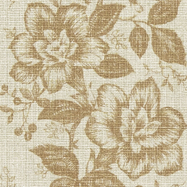 FE76792(FE76792) FE76792(FE76792)
