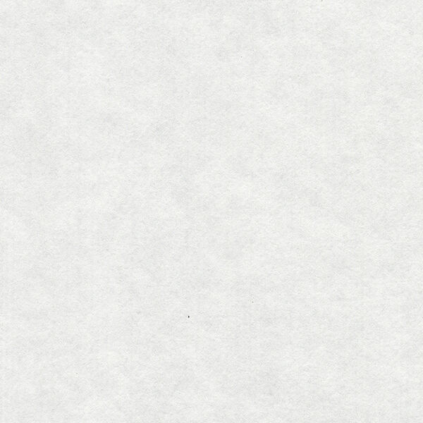 チップ画像