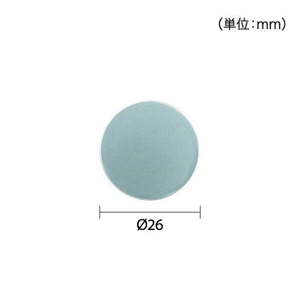 チップ画像