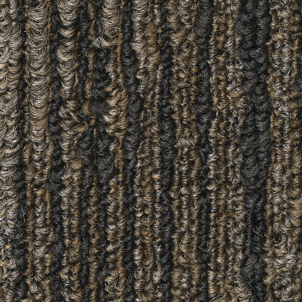 チップ画像