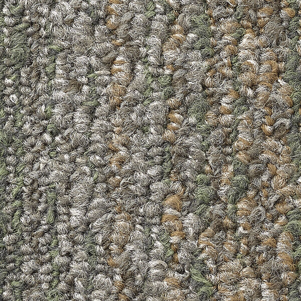 チップ画像