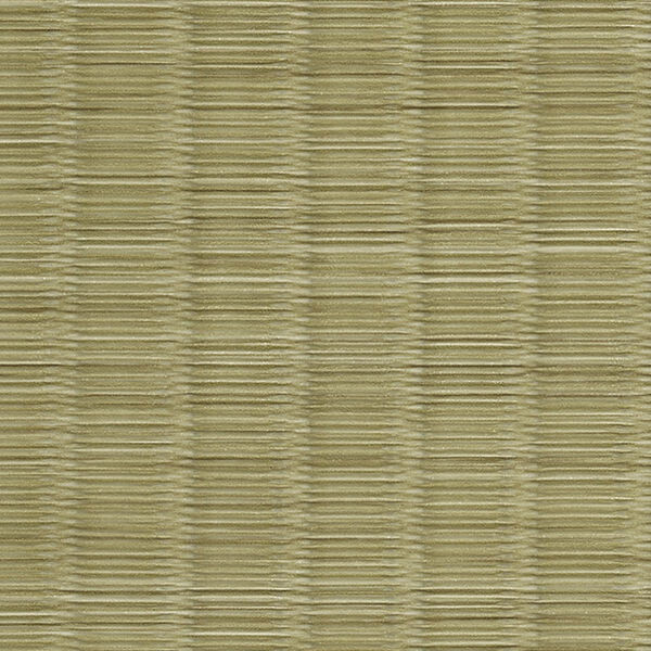 チップ画像