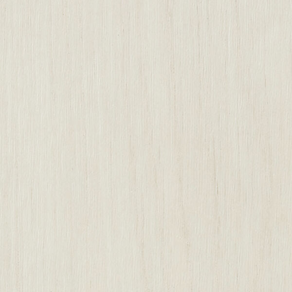 チップ画像
