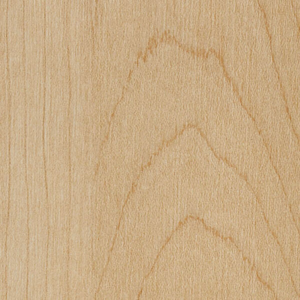 チップ画像