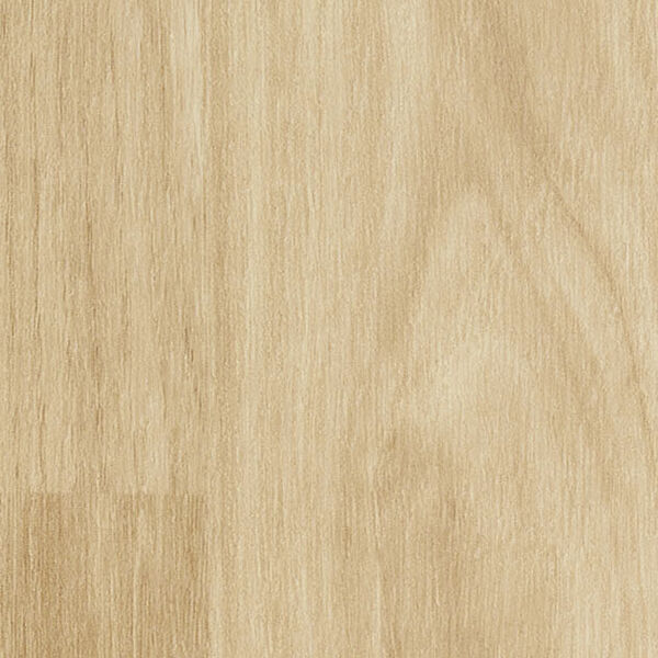 チップ画像