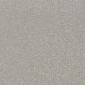 チップ画像