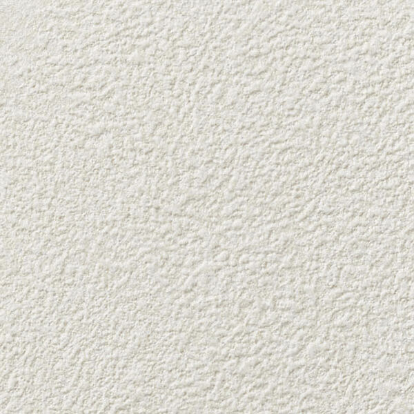 チップ画像