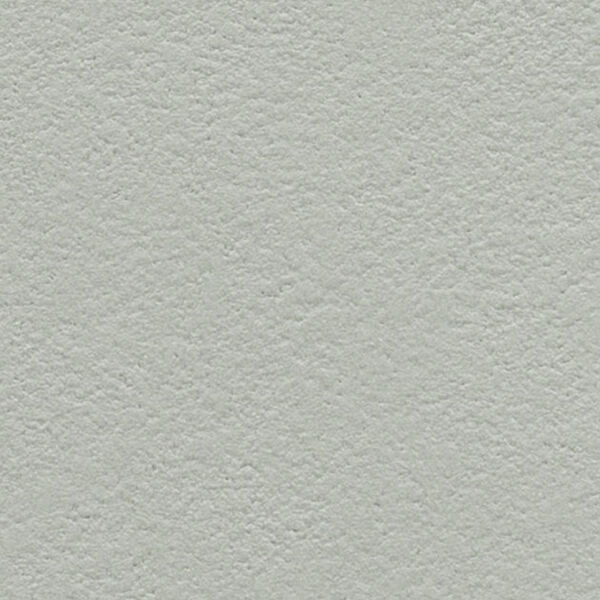 チップ画像