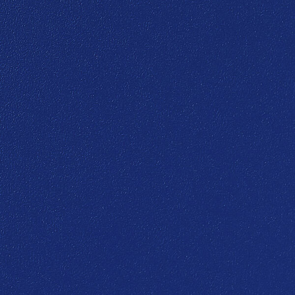 チップ画像