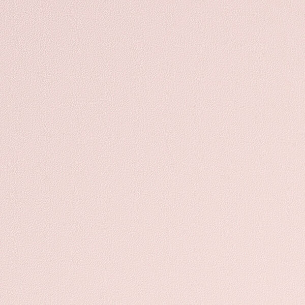 チップ画像