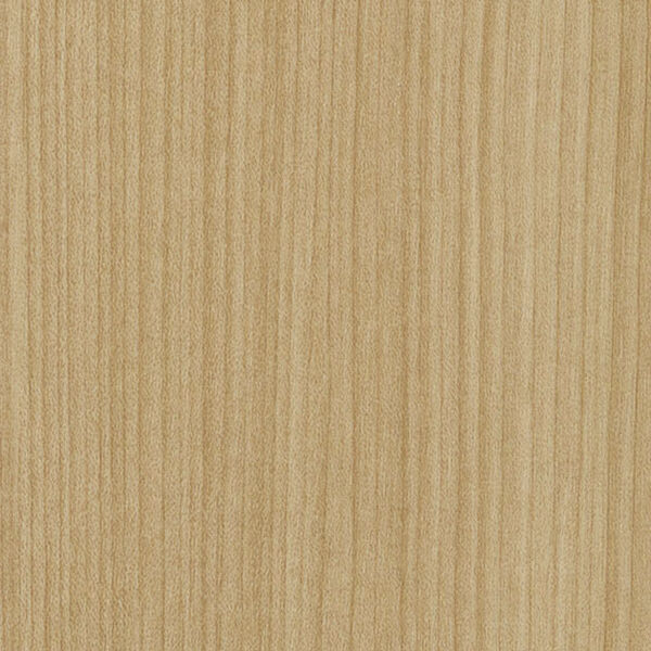 チップ画像