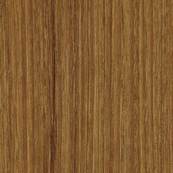 チップ画像