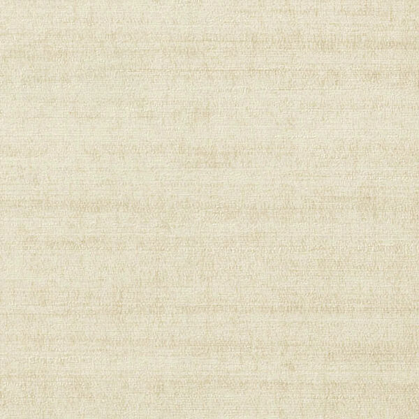チップ画像
