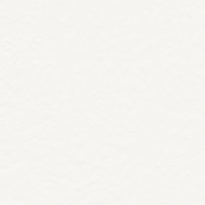チップ画像
