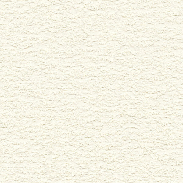 チップ画像