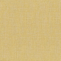 リピート画像