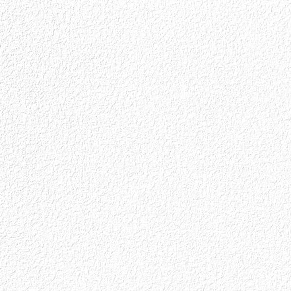 チップ画像