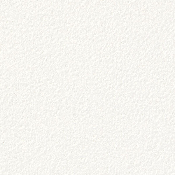 チップ画像