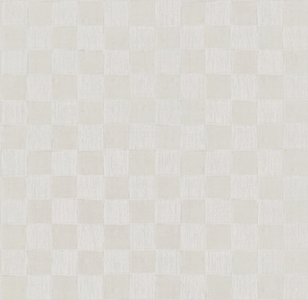 リピート画像