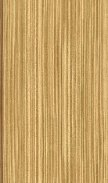 リピート画像